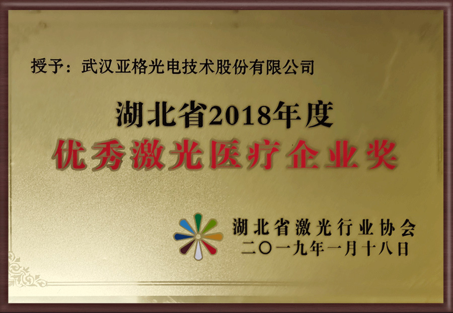 2018年度激光醫療企業獎